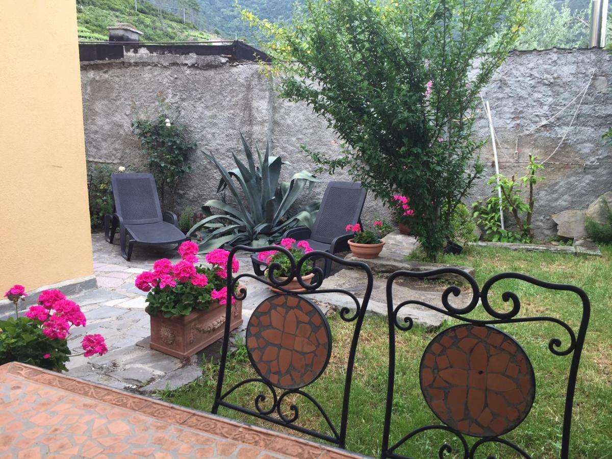 佛拉斯特拉Il Cortile Del Contadino公寓 外观 照片